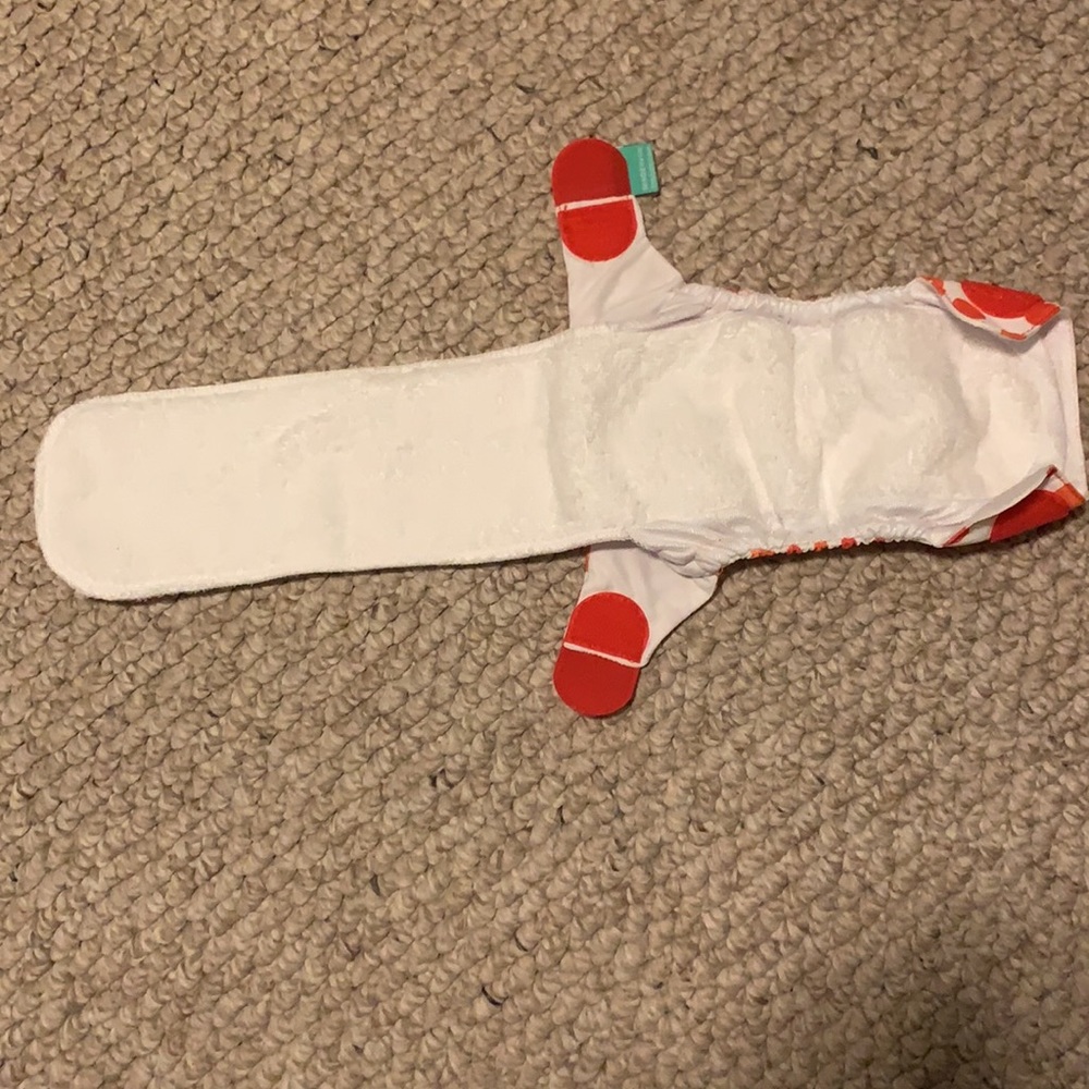 Lot of 11 Cloth Diapers - Thirsties, Swaddlebees, Totbots & Rumparooz - Picture 15 of 16